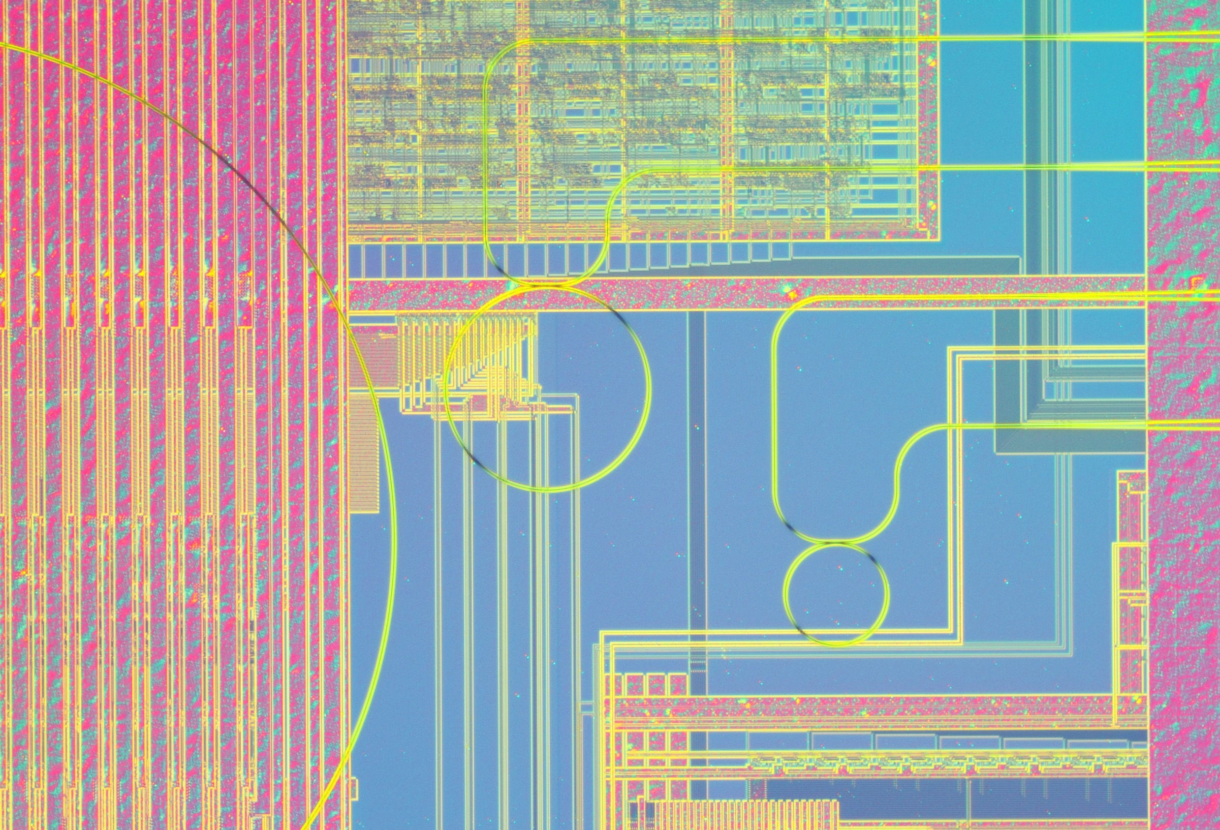 Optische Mikroskopaufnahme von CMOS-Schaltungen, über denen photonische Ringresonatoren angeordnet sind und die für Terahertzsensorik eingesetzt werden können. Optical microscope image of CMOS circuits with photonic ring resonators arranged above them, which can be used for terahertz sensing.